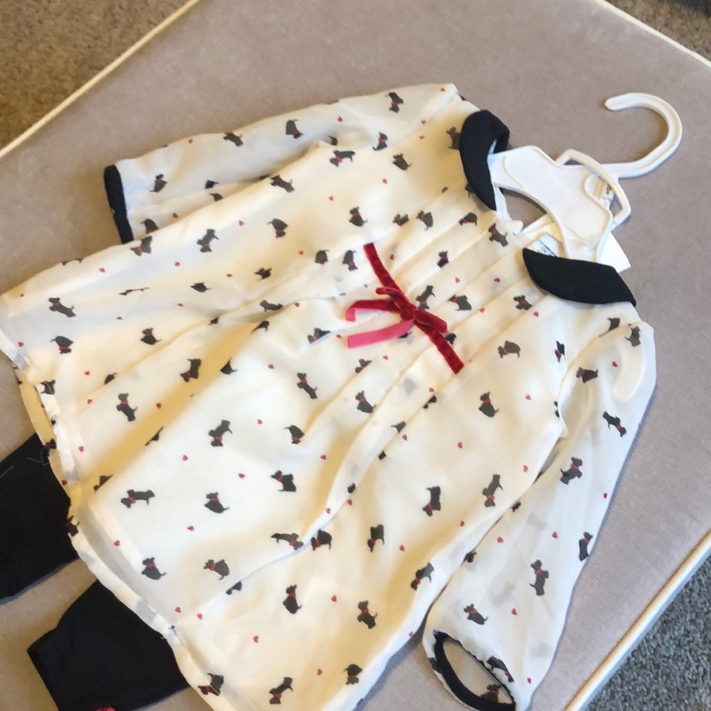 NWT puppy blouse and pants 3-6 months